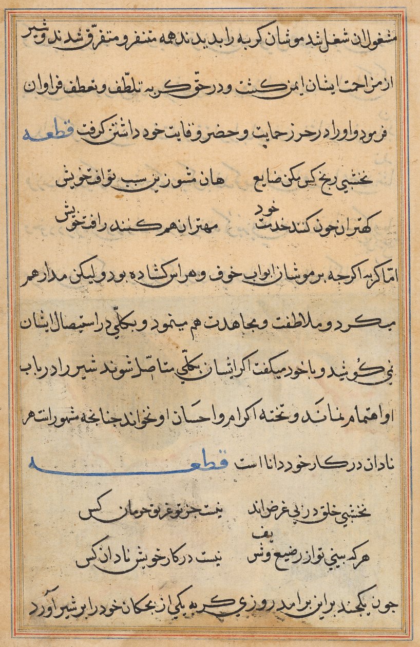 Page from Tales of a Parrot (Tuti-nama): text page by Unknown artist