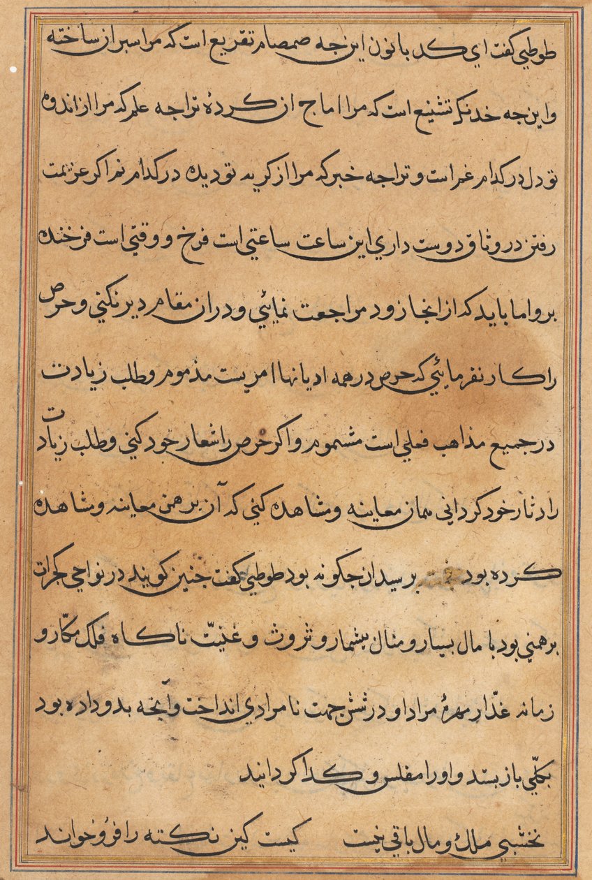 Page from Tales of a Parrot (Tuti-nama): text page by Unknown artist