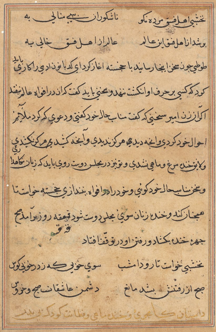 Page from Tales of a Parrot (Tuti-nama): text page by Unknown artist