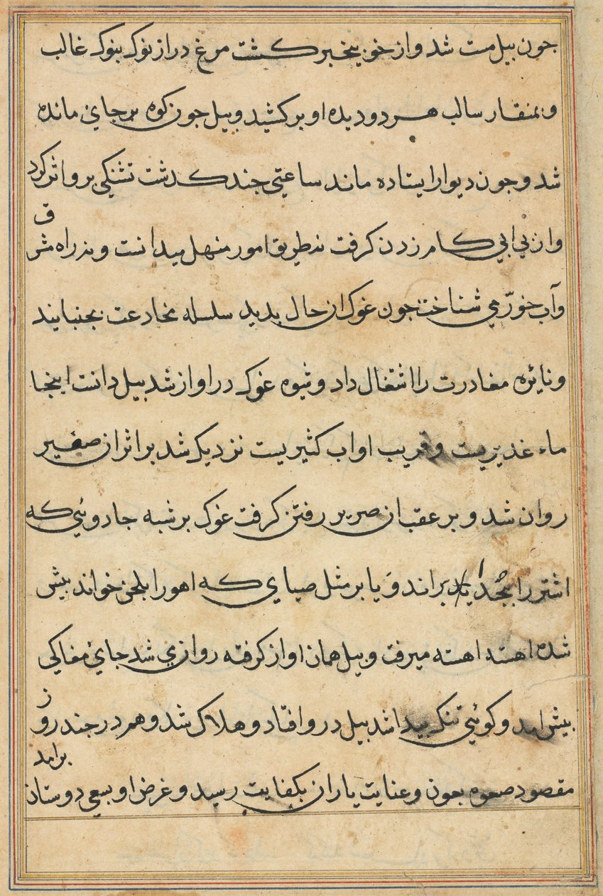 Page from Tales of a Parrot (Tuti-nama): text page by Unknown artist