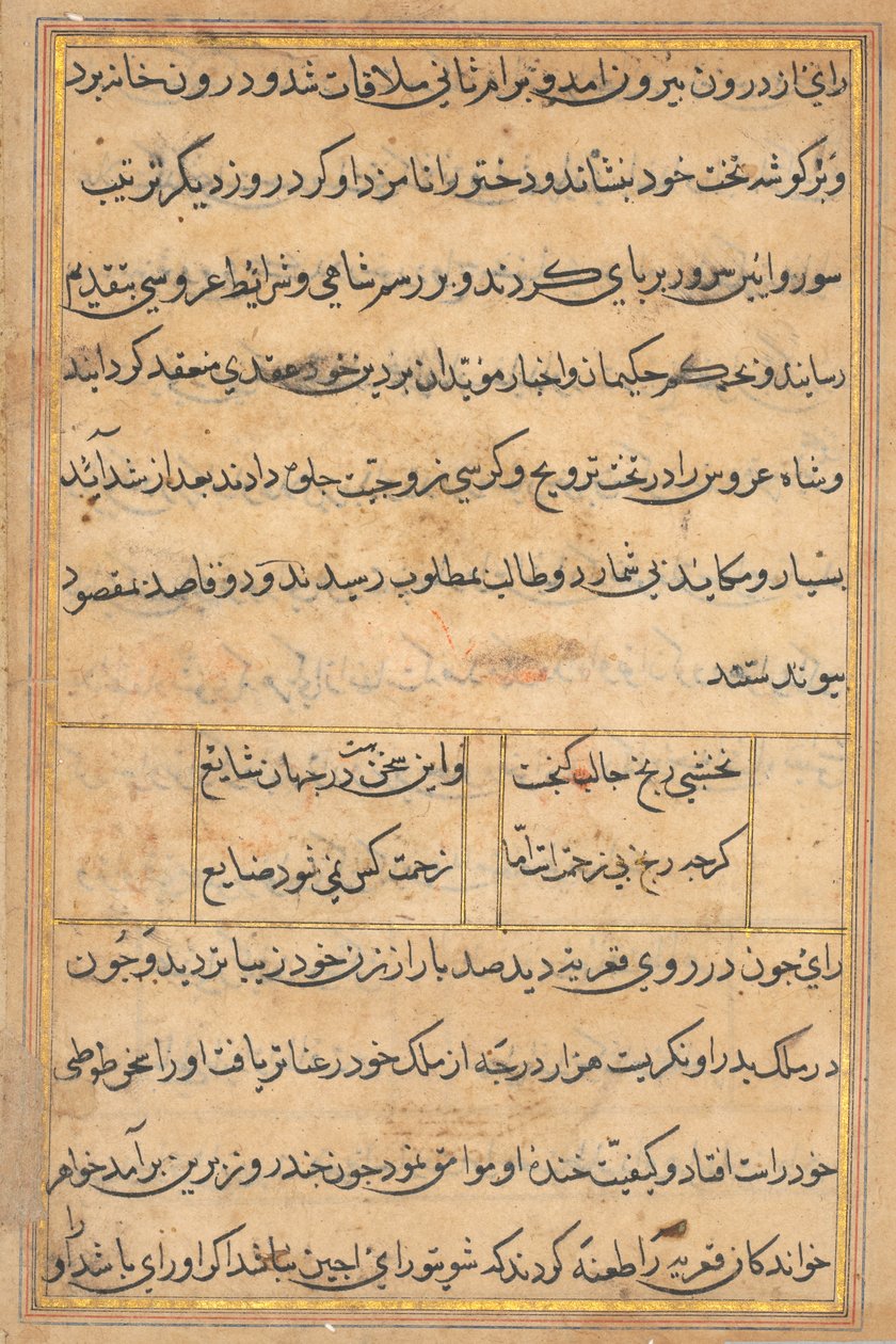 Page from Tales of a Parrot (Tuti-nama): text page by Unknown artist