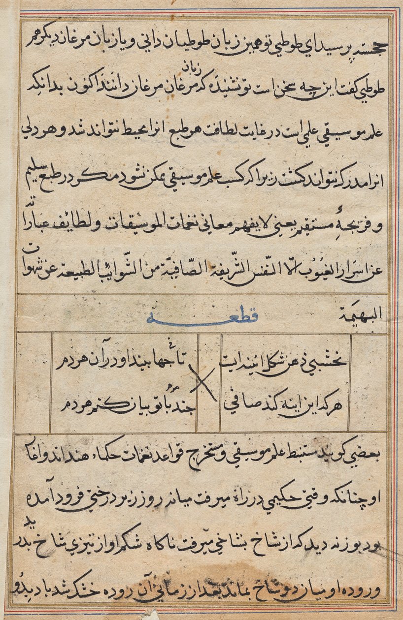 Page from Tales of a Parrot (Tuti-nama): text page by Unknown artist