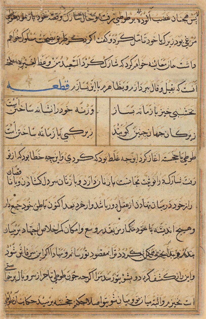 Page from Tales of a Parrot (Tuti-nama): text page by Unknown artist