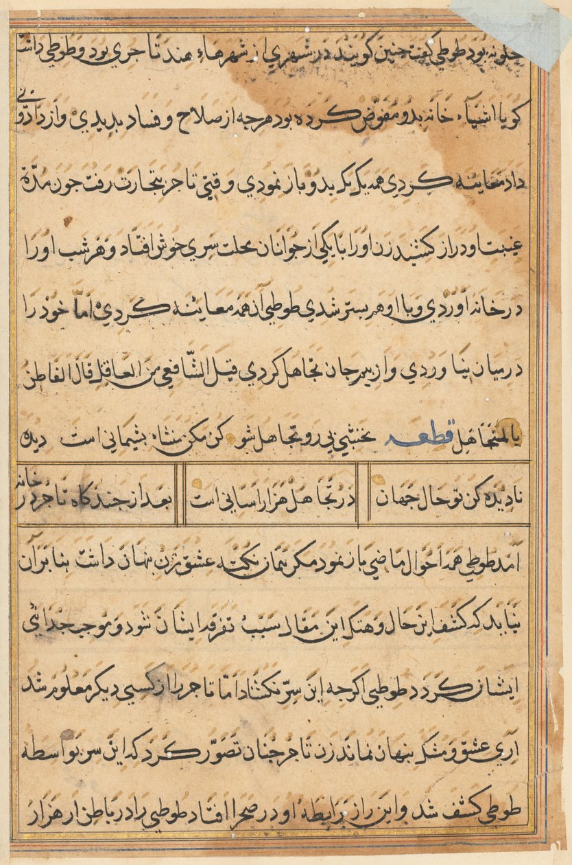 Page from Tales of a Parrot (Tuti-nama): text page by Unknown artist