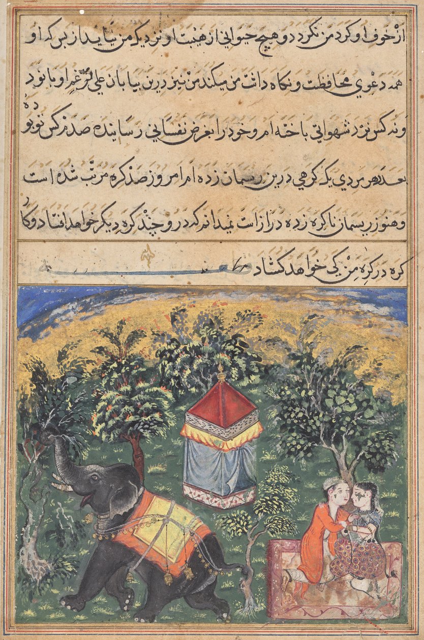 Page from Tales of a Parrot (Tuti-nama): text page by Unknown artist