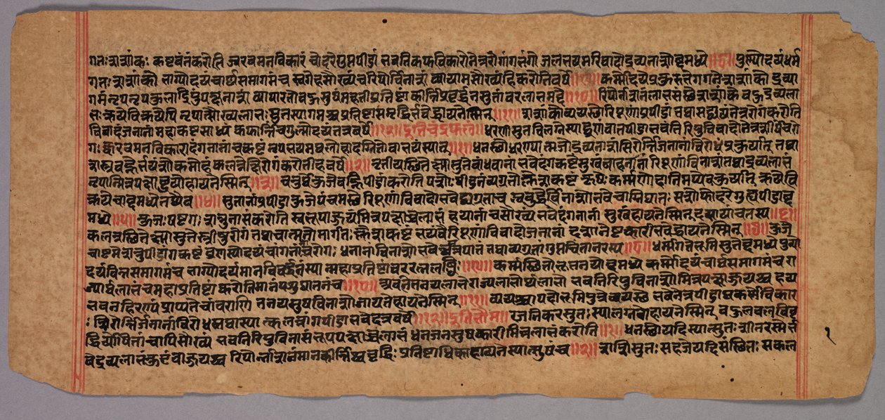 Page from a Jaina Manuscript by Unknown artist