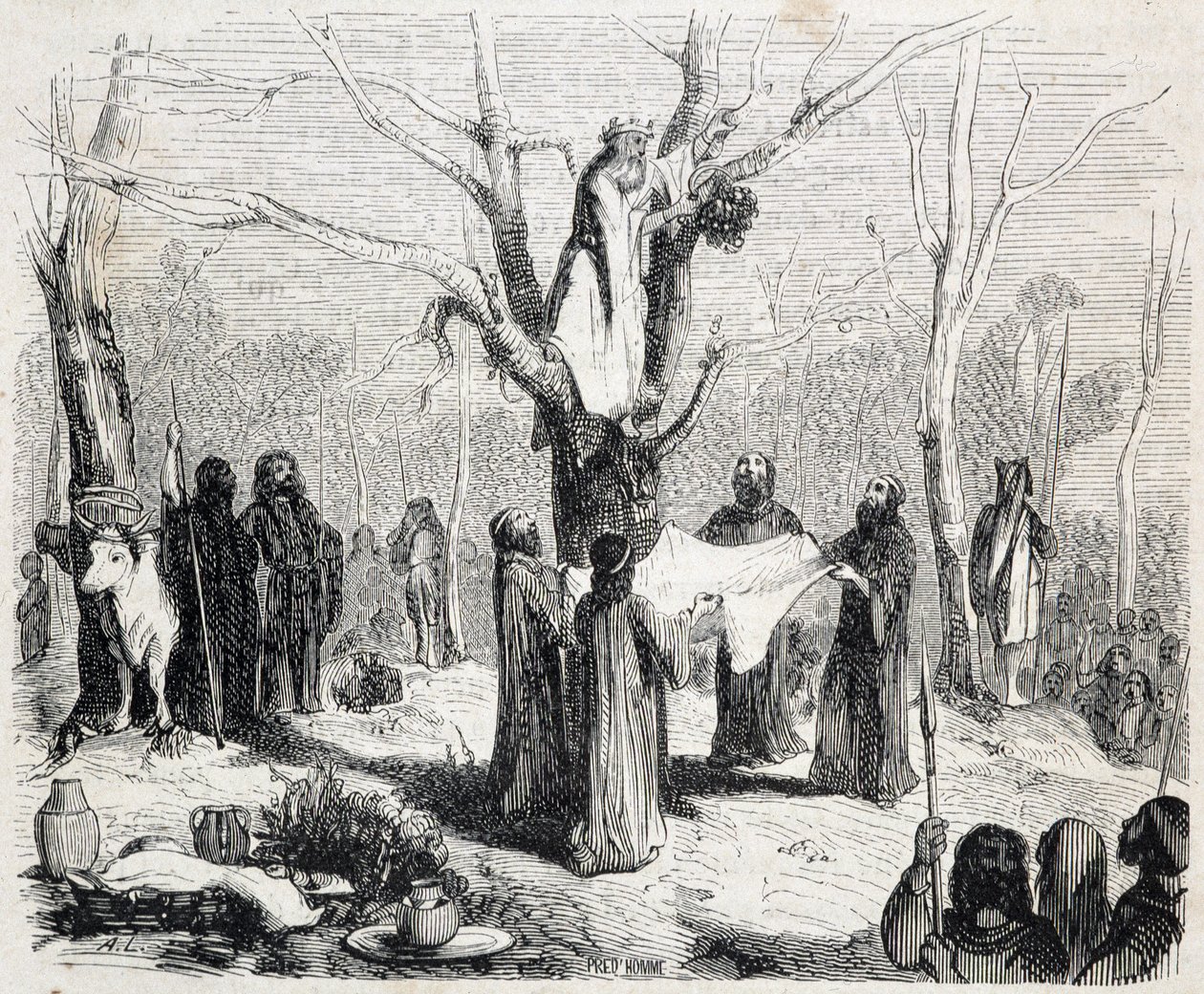 Pitre Chevalier, edited by W. Coquebert by Unknown artist