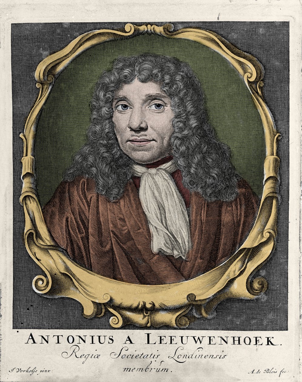 Portrait of Antonie Van Leeuwenhoek, Dutch Naturalist (1632-1723) by Unknown artist