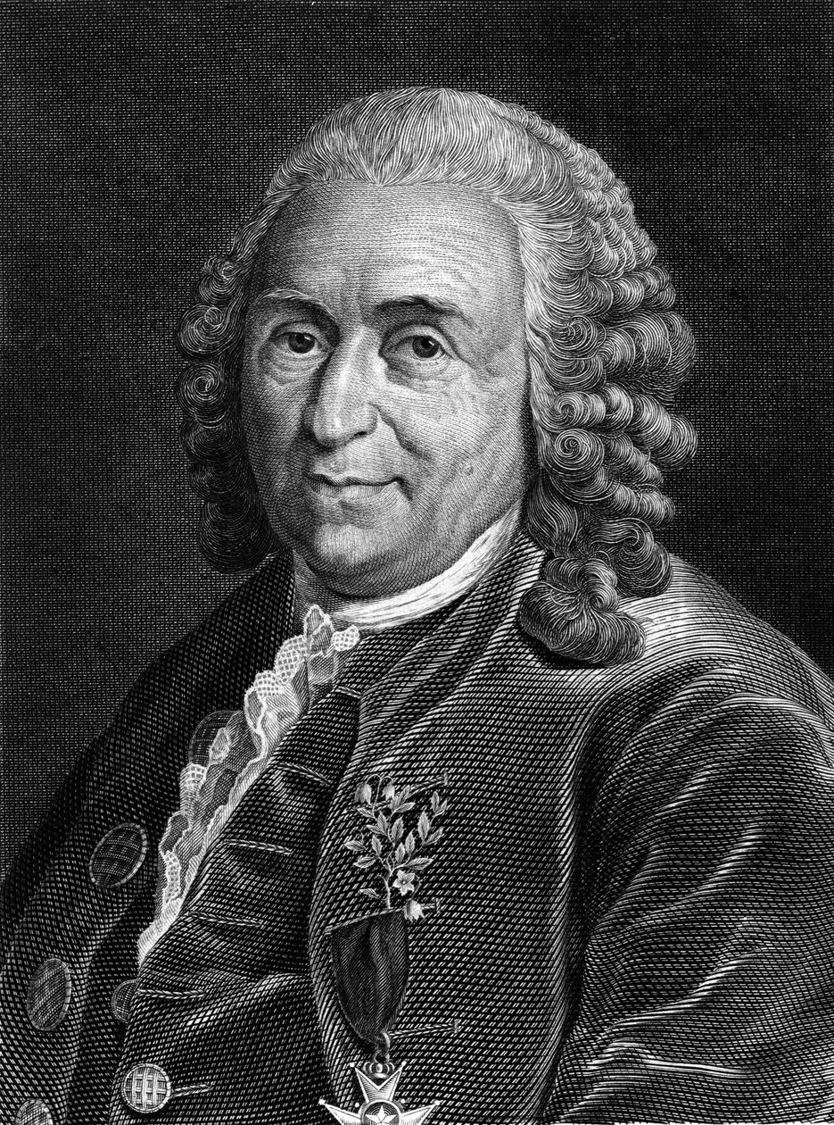 Portrait of Carl Von Linné, Swedish naturalist and writer (1707 - 1778). Engraving of the 19th century by Unknown artist