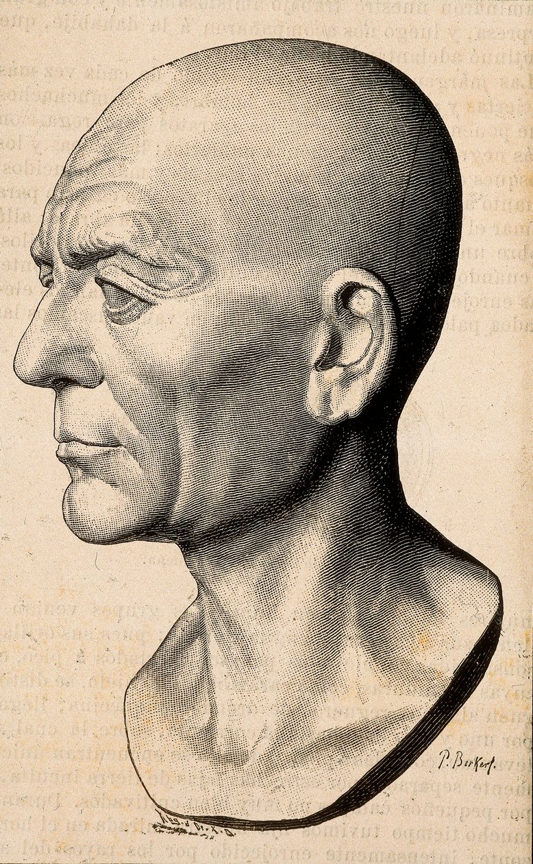 Portrait of Publius Cornelius Scipio Africanus, Roman statesman (235-183 BC) by Unknown artist
