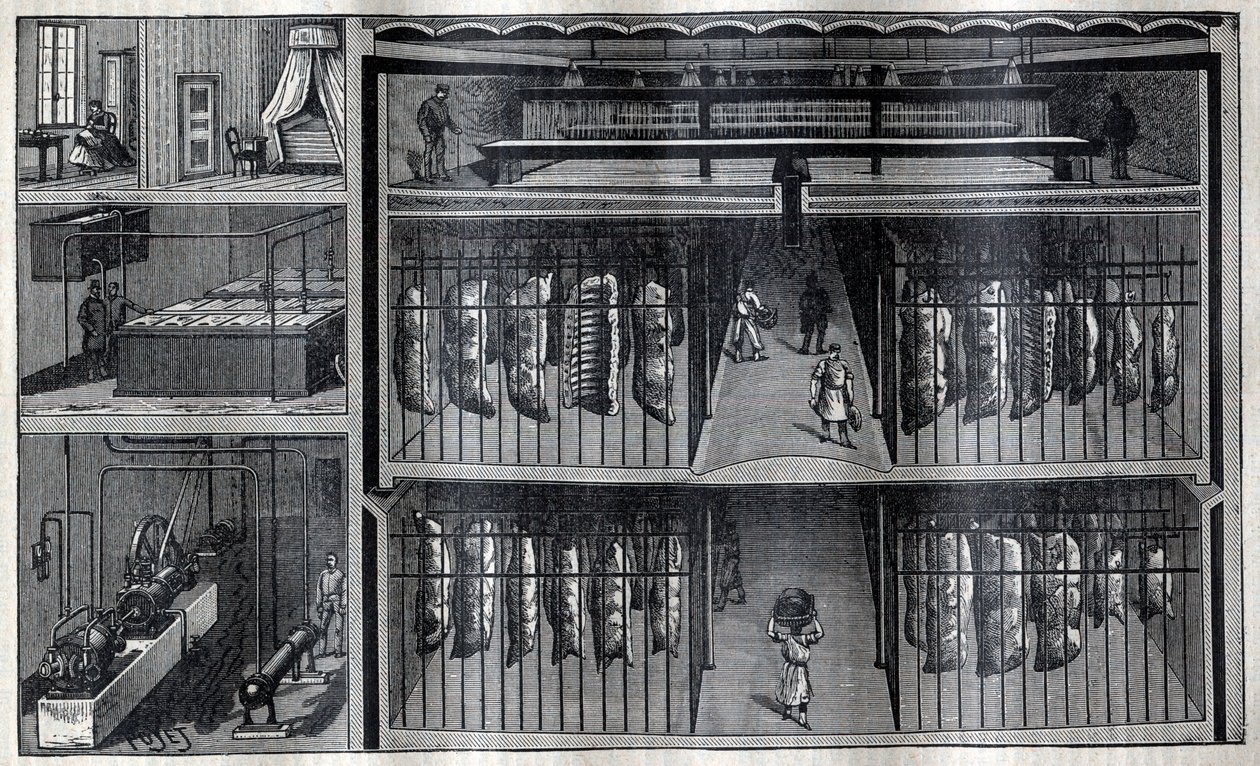 Refrigerated Storerooms for Meat - Engraving from 