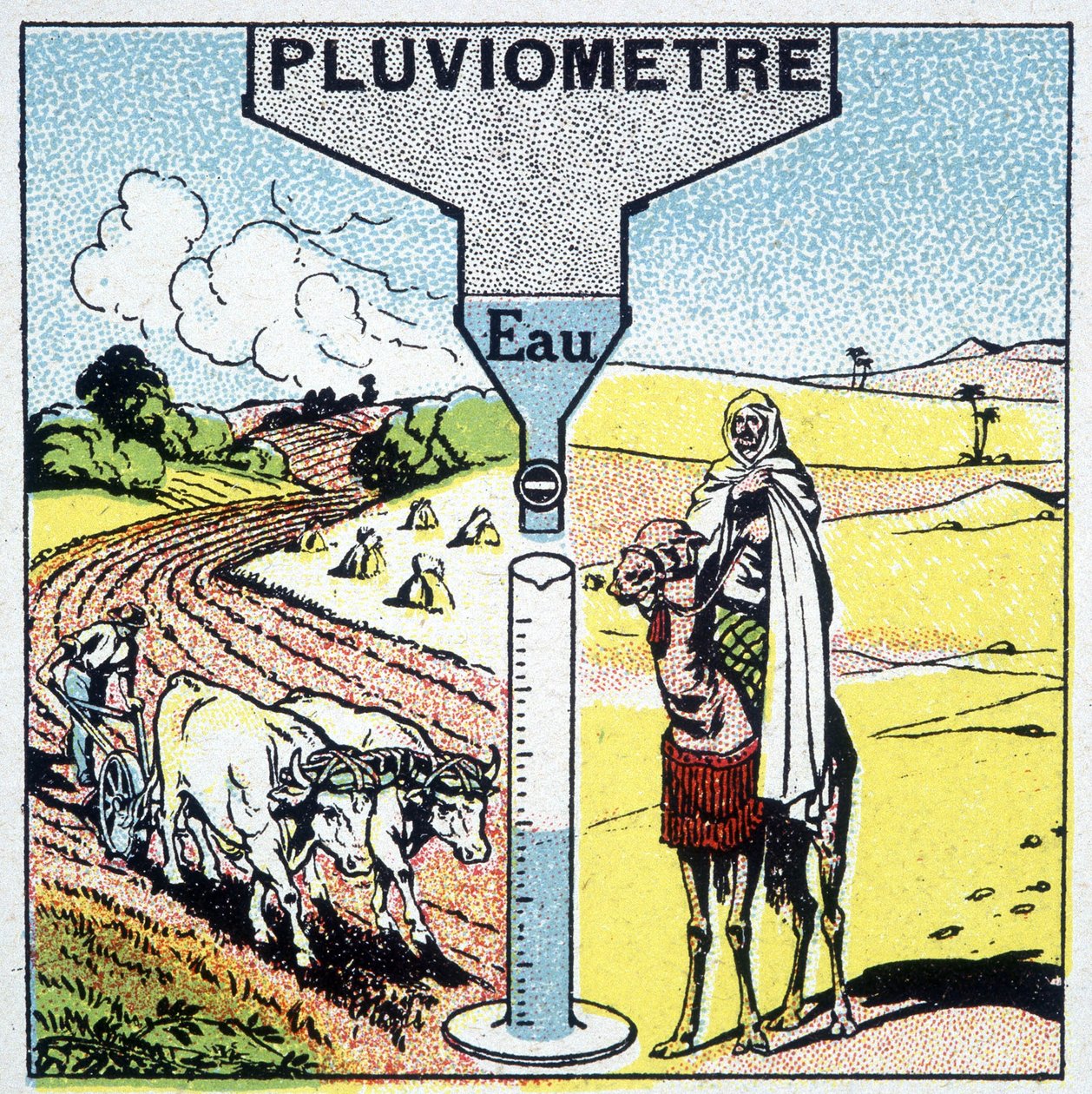 Representation of Rainfall and Its Effects on Different Regions and Its Influence on Agriculture by Unknown artist