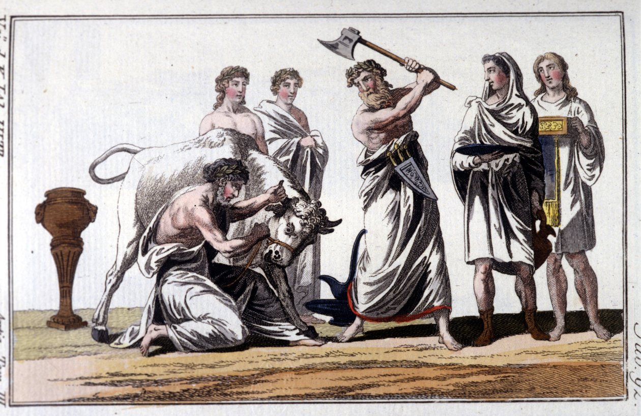 Sacrifice of a bull among the Celts. 19th century engraving. by Unknown artist