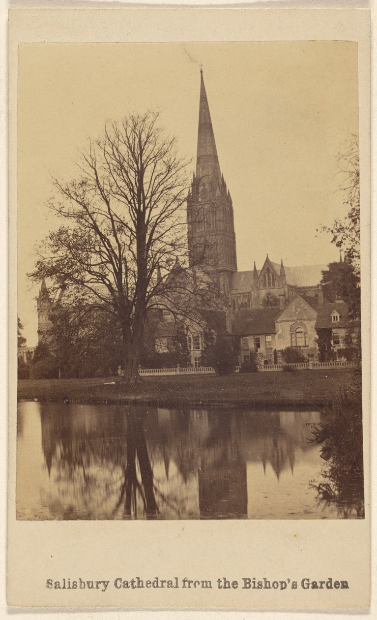 Salisbury Cathedral from the Bishop