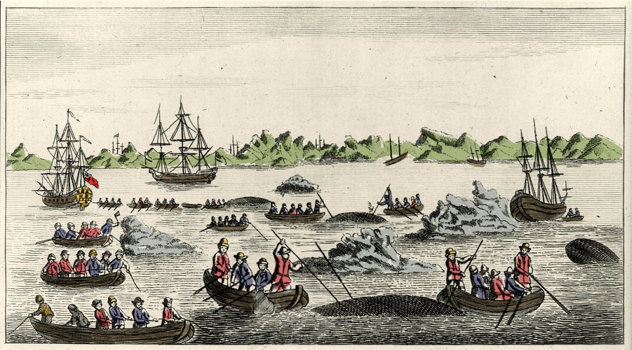 Scene of whale fishing in Greenland in the 18th century, anonymous popular print of the period by Unknown artist