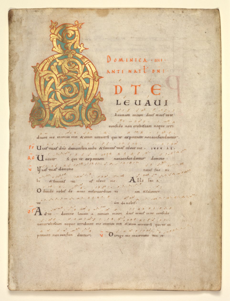 Single Leaf Excised from a Gradual and Sacramentary: Initial A[d te lavavi] by Unknown artist