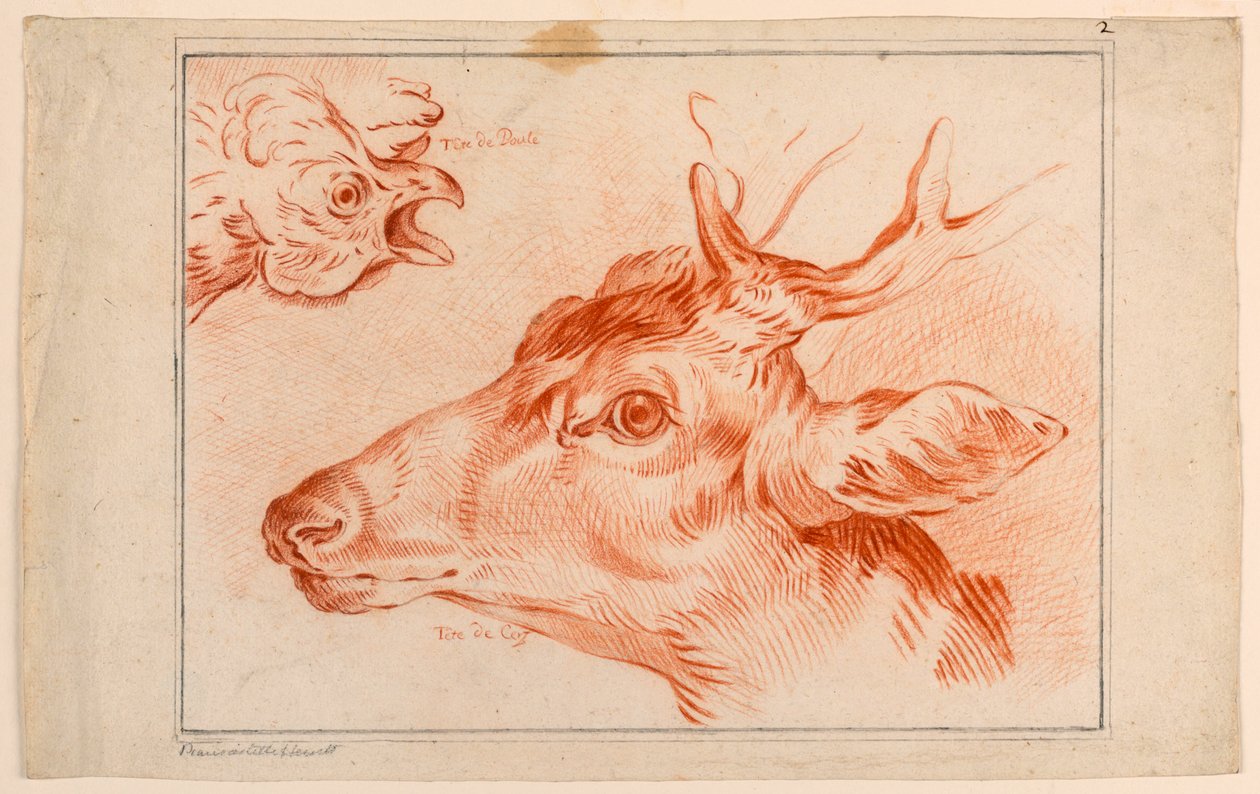Study of the Heads of a Chicken and Stag by Unknown artist