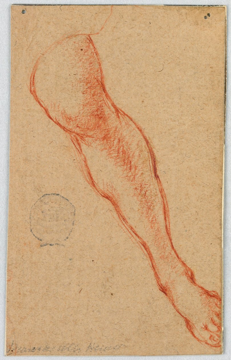 Study of the Left Leg of a Seated Woman by Unknown artist