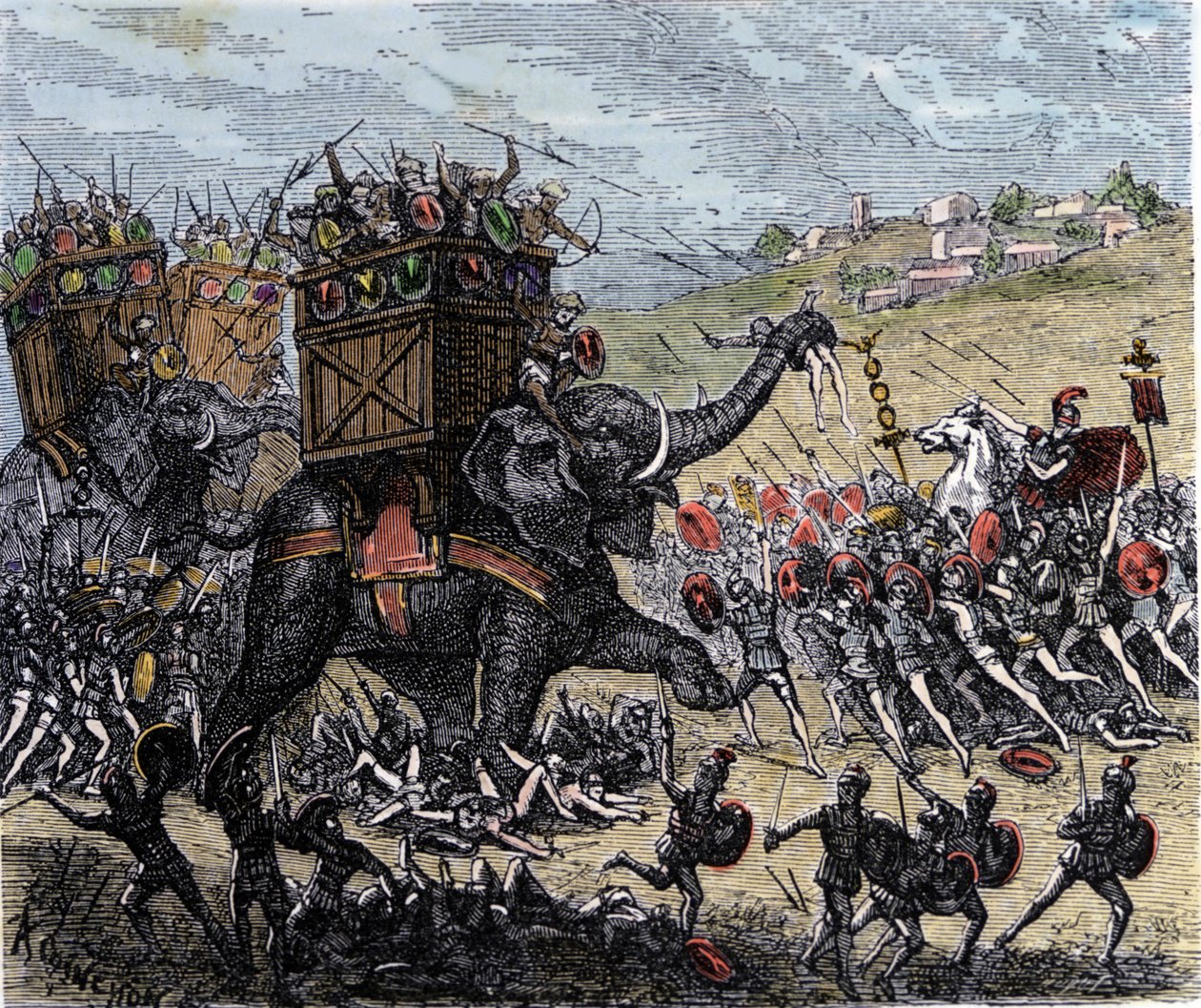 The Battle of Zama (Africa, Second Punic War, 202 BC) won by