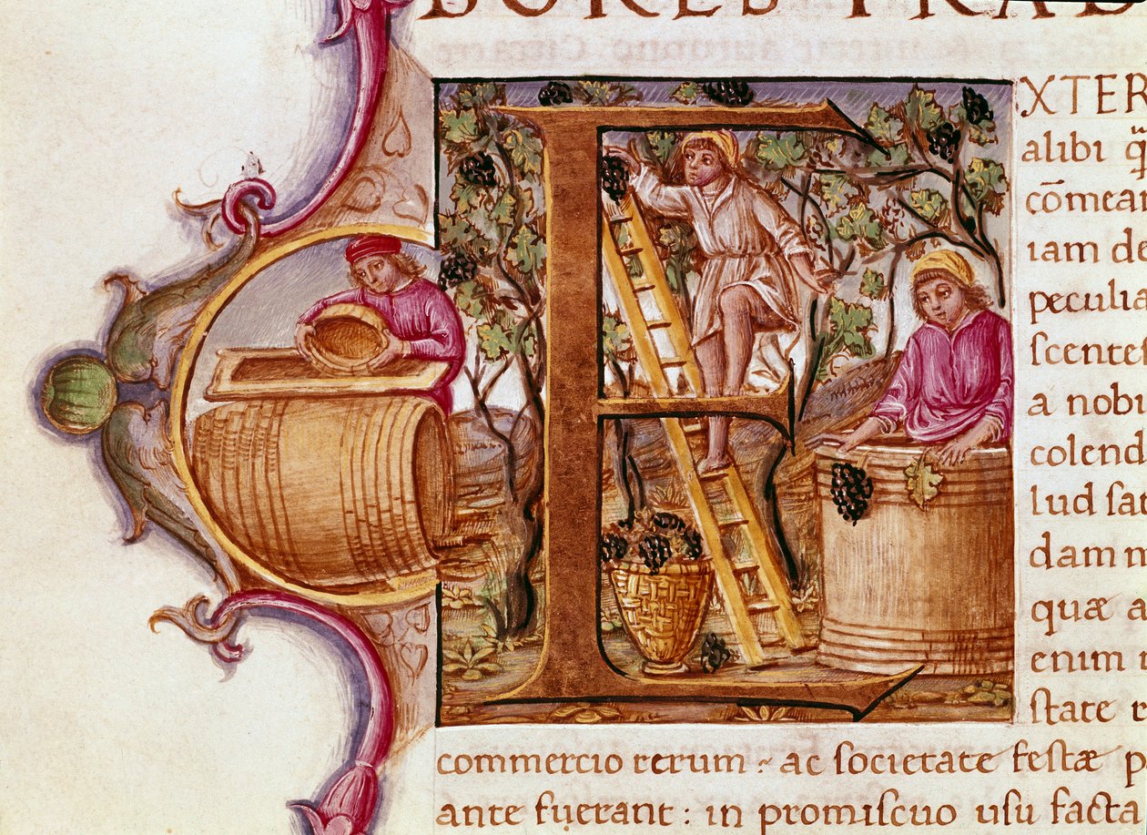 The Harvest by Unknown artist