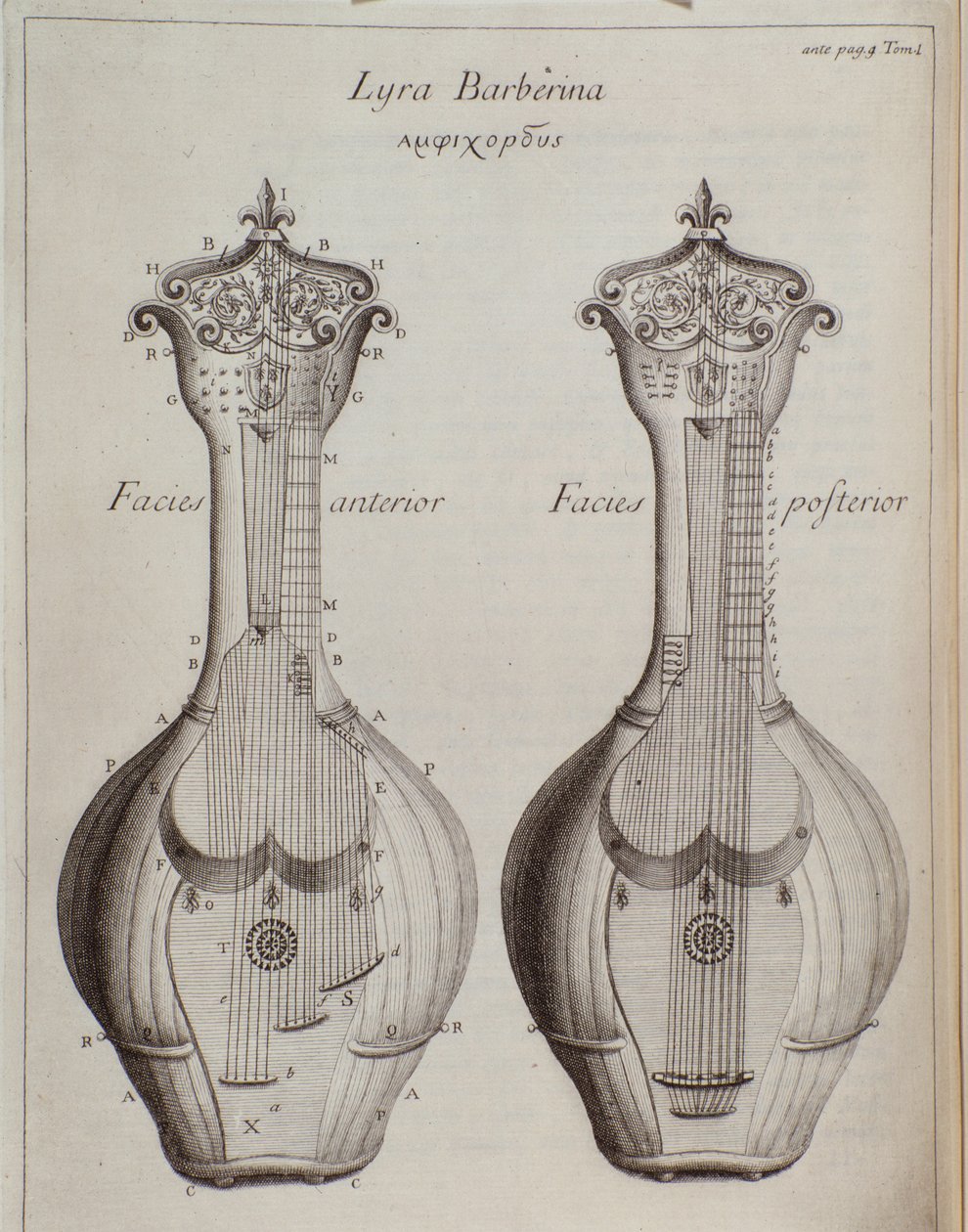 The Lyra Barberina (engraving) by Unknown artist