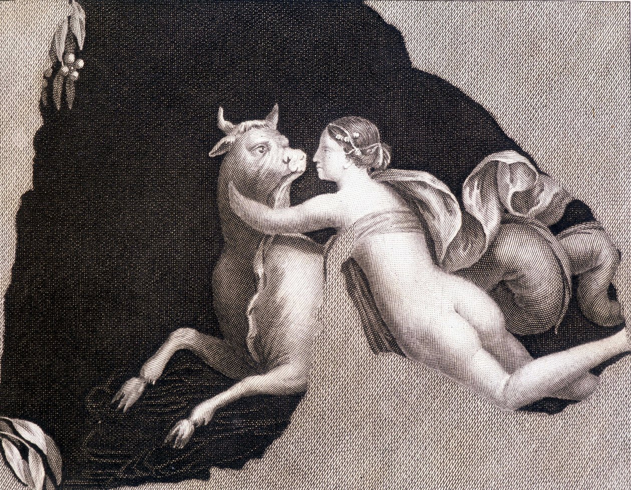The Abduction of Europa - Engraving by Unknown artist