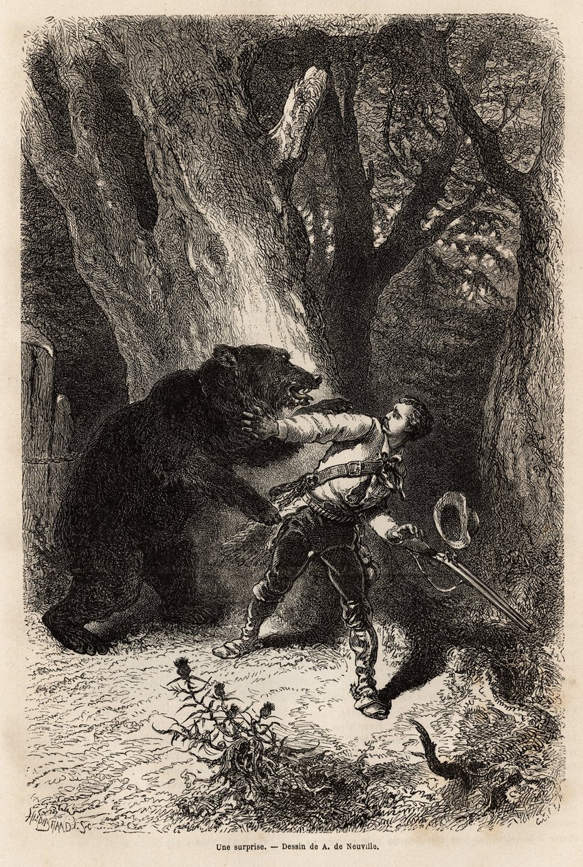 The author, during an excursion around Jacksonville, is surprised in the forest by a domestic bear and chain. Engraving to illustrate the story four months in Florida by Unknown artist