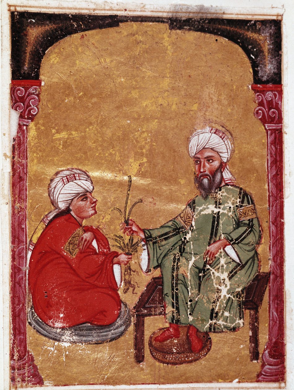 The Doctor and Botanist Pedanius Dioscorides Sitting with One of His Students by Unknown artist