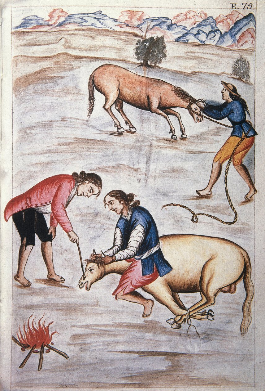 The Red Iron Branding of a Mare, from the Book "Trujillo del Peru" or "Codex Martinez Compañón" by Baltazar Martinez Compañón y Bujanda, Bishop of Trujillo by Unknown artist