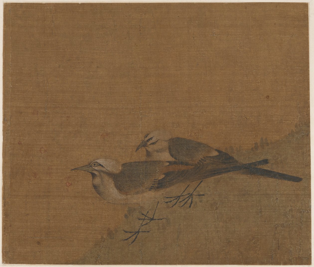 Two Pied Wagtails by Unknown artist