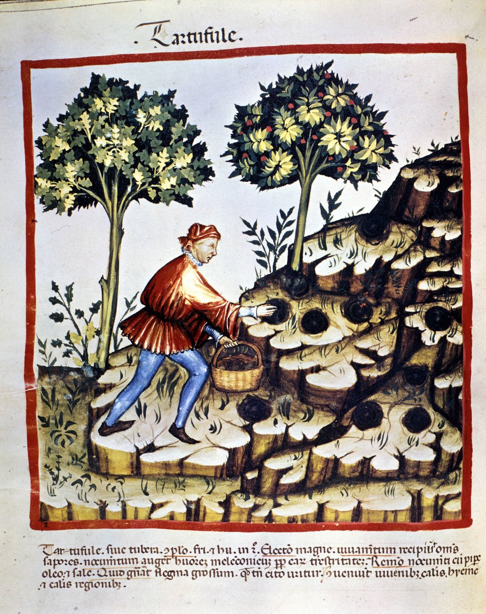 Unknown Image by Unknown artist