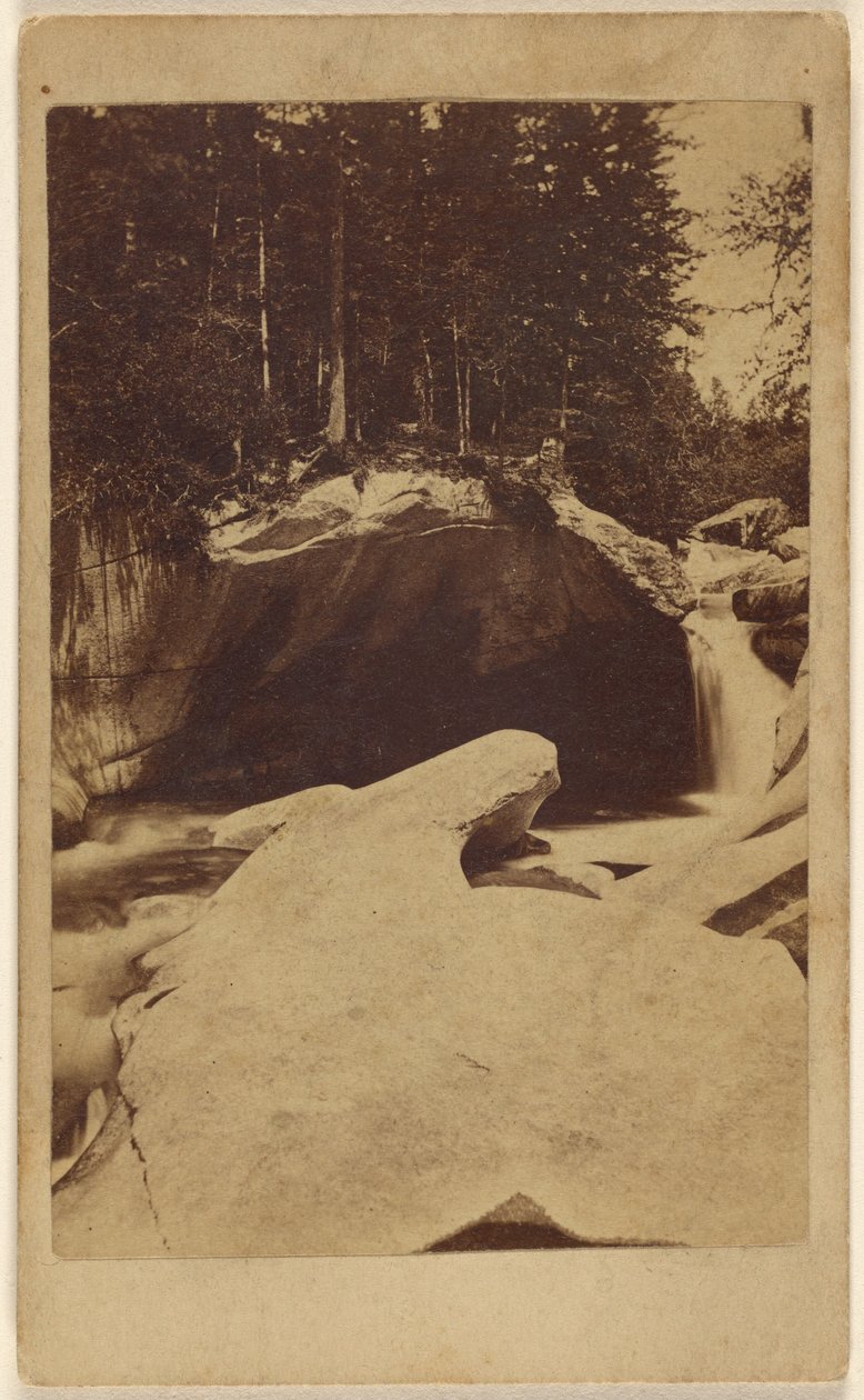 Unidentified Forest View with Rocks and Cavern by Unknown artist