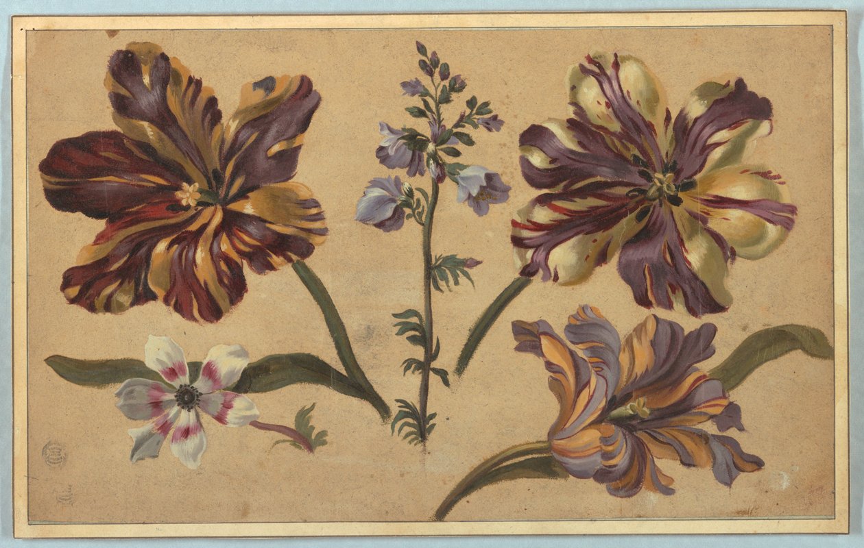 Various Florals by Unknown artist