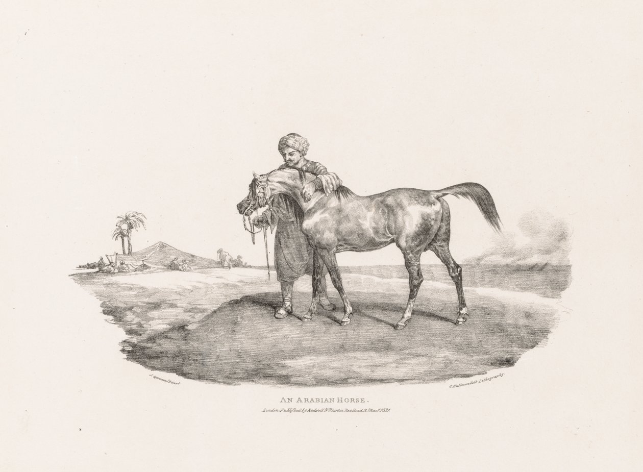 Various Subjects Drawn from Life and on Stone: An Arabian Horse by Unknown artist