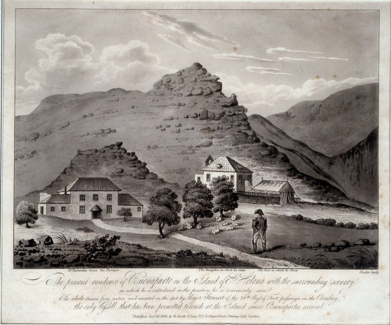View of the Island of Saint Helena by Unknown artist