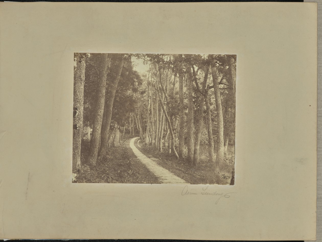Avenue Tiendong by Unknown artist/maker
