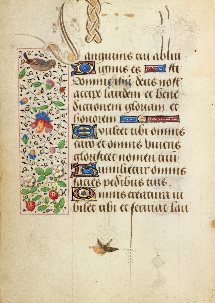 Decorated Text Page by Unknown artist/maker