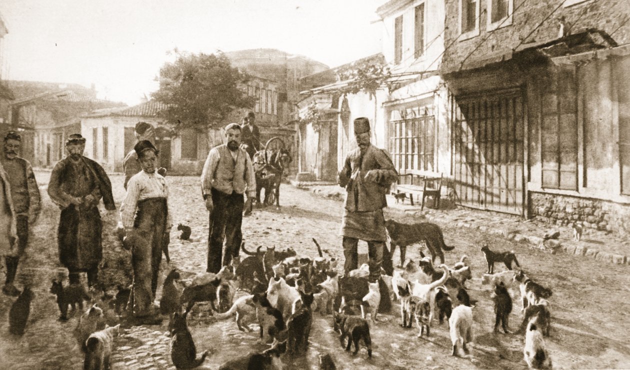 A Turk