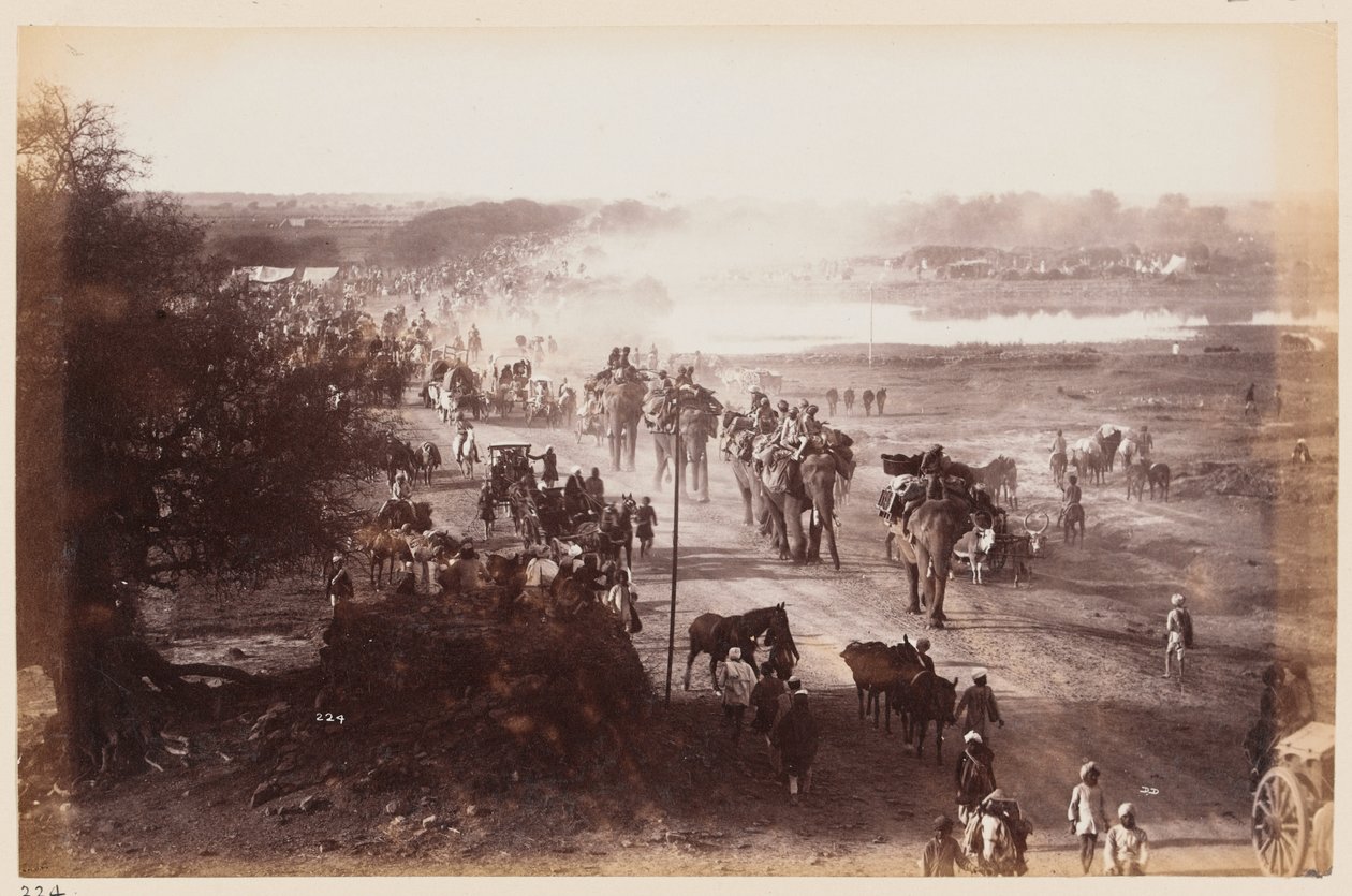 Baggage column during the Delhi Camp of Exercise, 1885 circa by Unknown