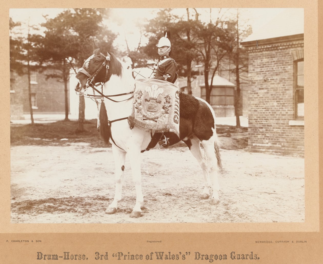 Drum-Horse, 3rd Prince of Wales