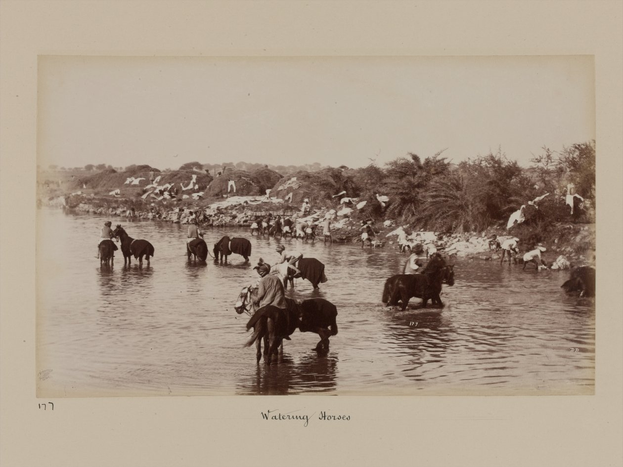 Indian Cavalrymen Watering Their Horses During the Delhi Camp of Exercise by Unknown photographer