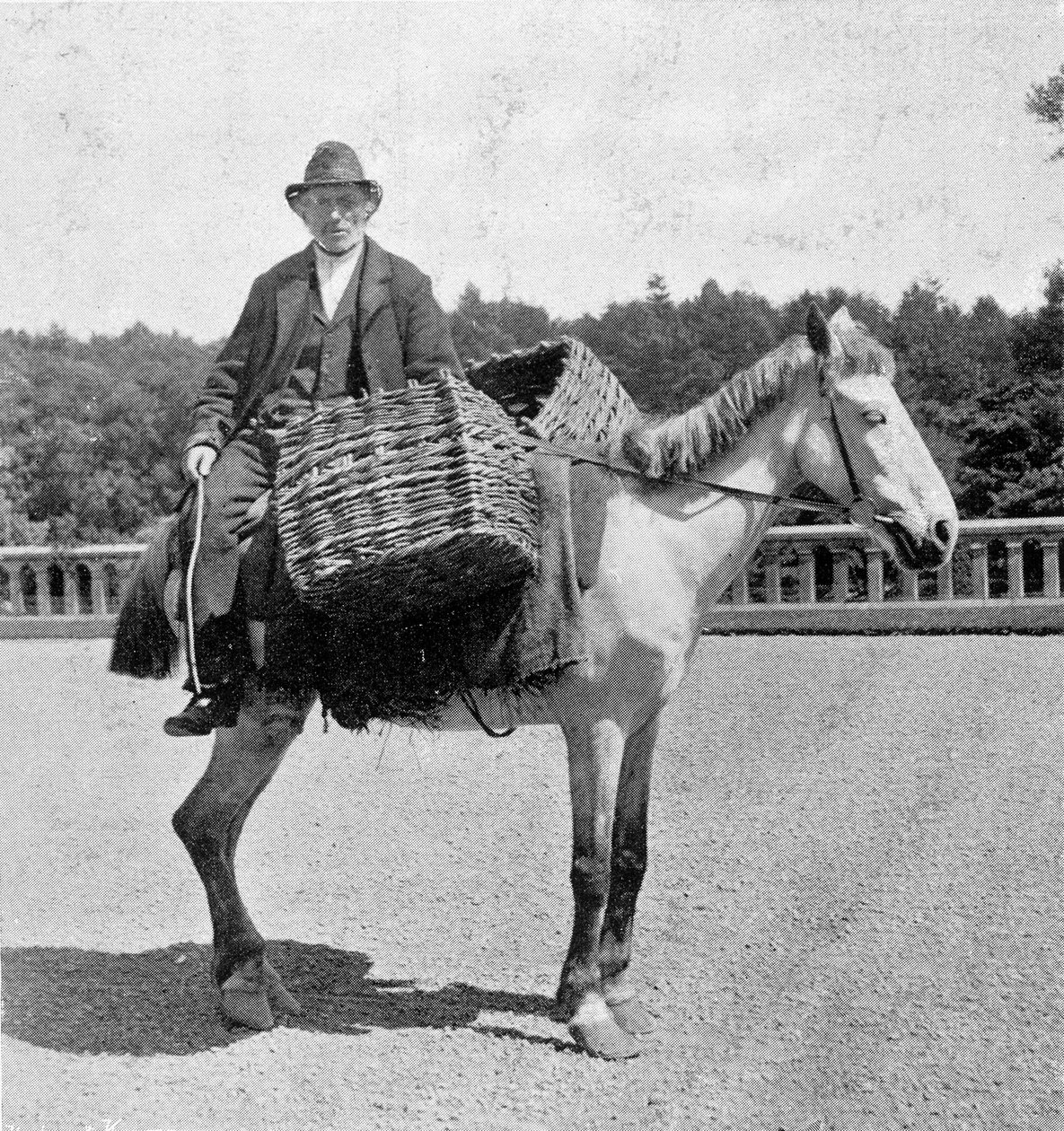 Irish Man on His Horse (19th Century) by Unknown photographer