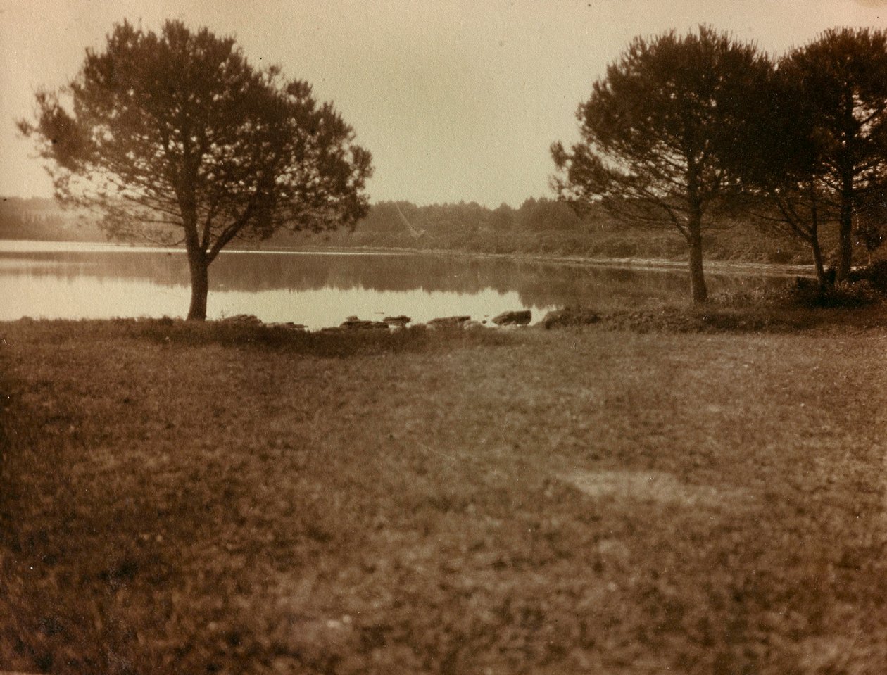 Landscape in the Brijuni Islands by Unknown photographer