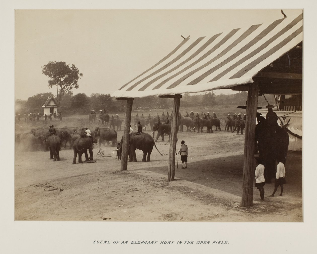 Photograph in Photograph Album by Unknown photographer