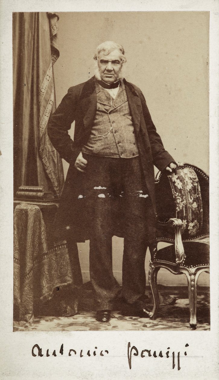 Portrait of Senator Antonio Panizzi, Director of the Library of the British Museum by Unknown photographer