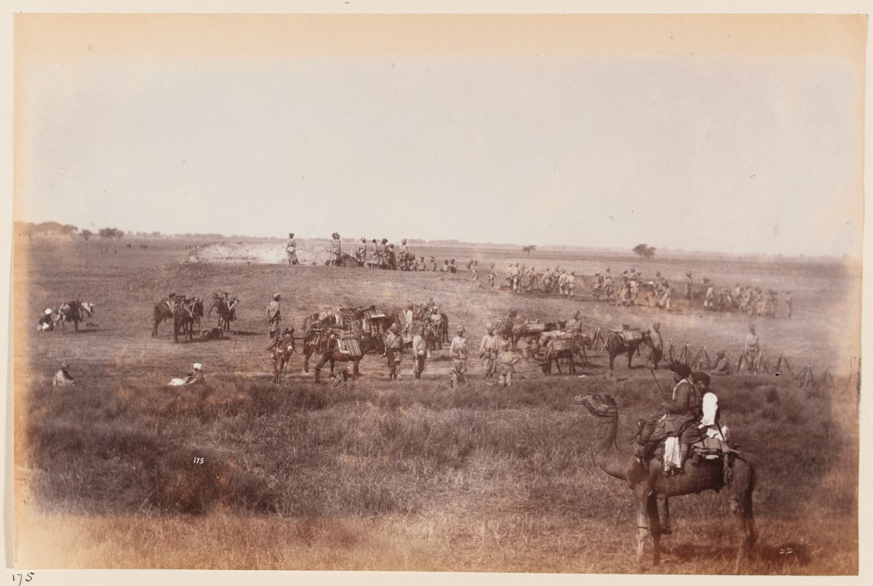 Sappers and Miners Making Shelter Trenches During the Delhi Camp of Exercise, 1885 by Unknown