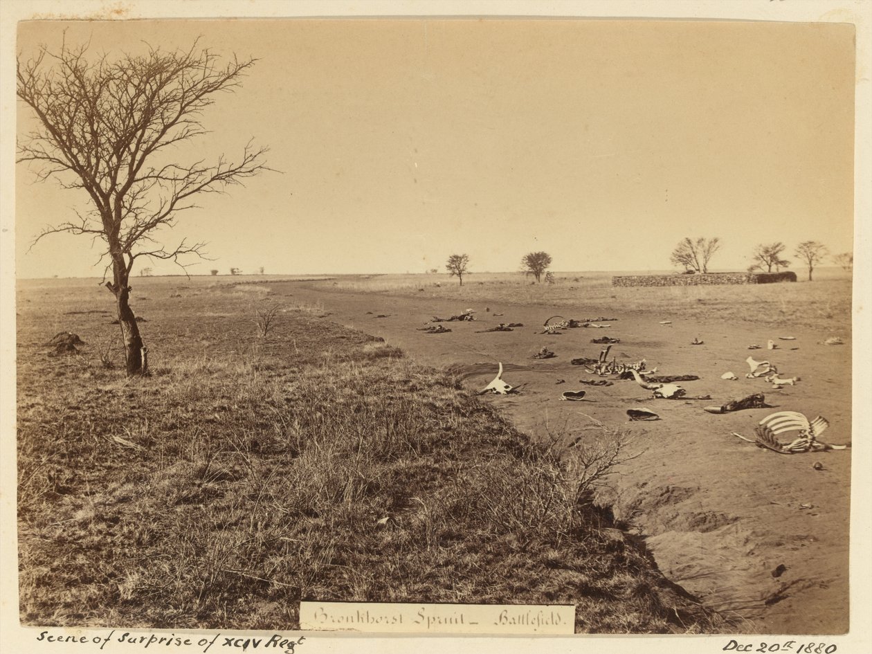 Scene of Surprise of the XCIV Regiment by Unknown