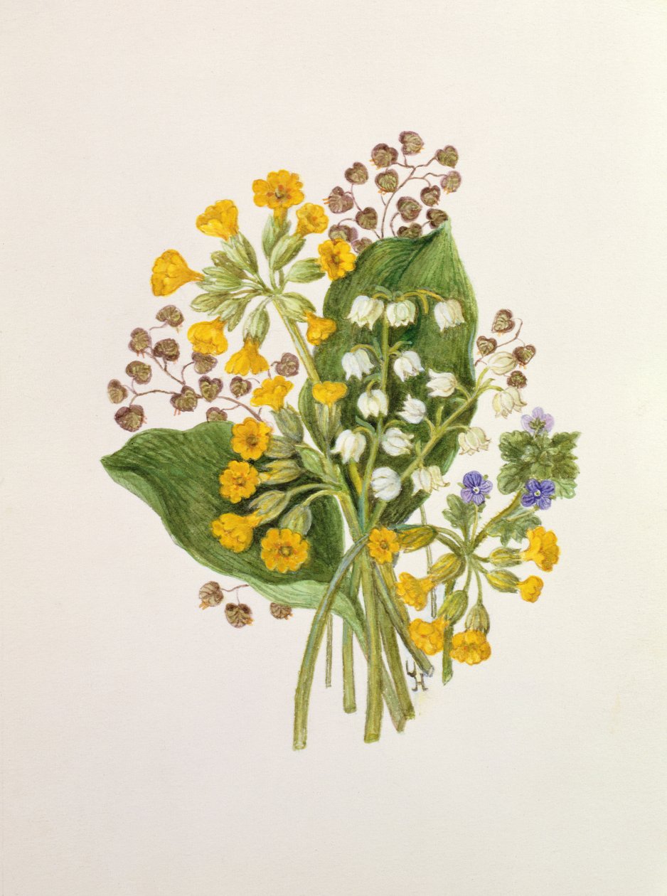 Lily of the Valley and Cowslips by Ursula Hodgson