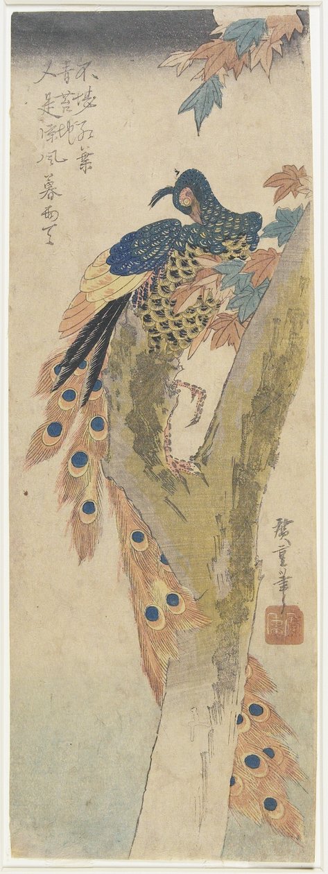 Peacock on Maple Tree by Utagawa Hiroshige