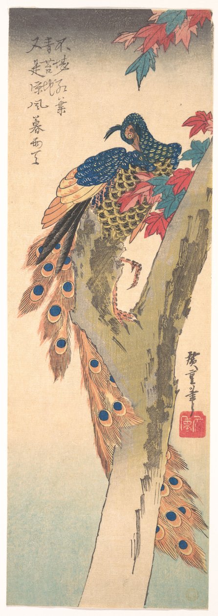 A Peacock Perched on a Maple Tree by Utagawa Hiroshige